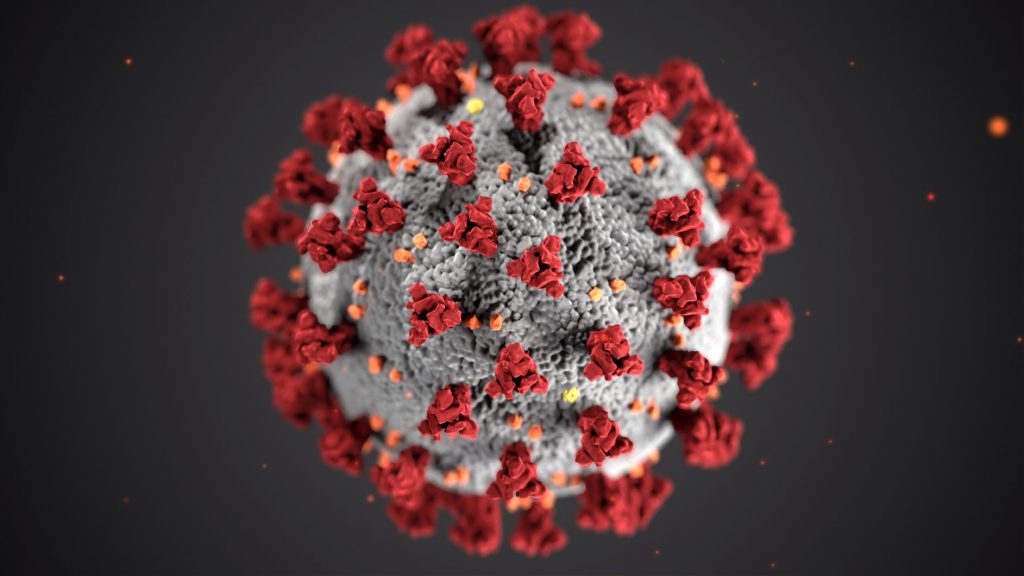 Corona Virus bringt viele Probleme für die 24 Stunden Betreuung und Pflege ; © cdc-w9KEokhajKw-unsplash , CDC on Unsplash